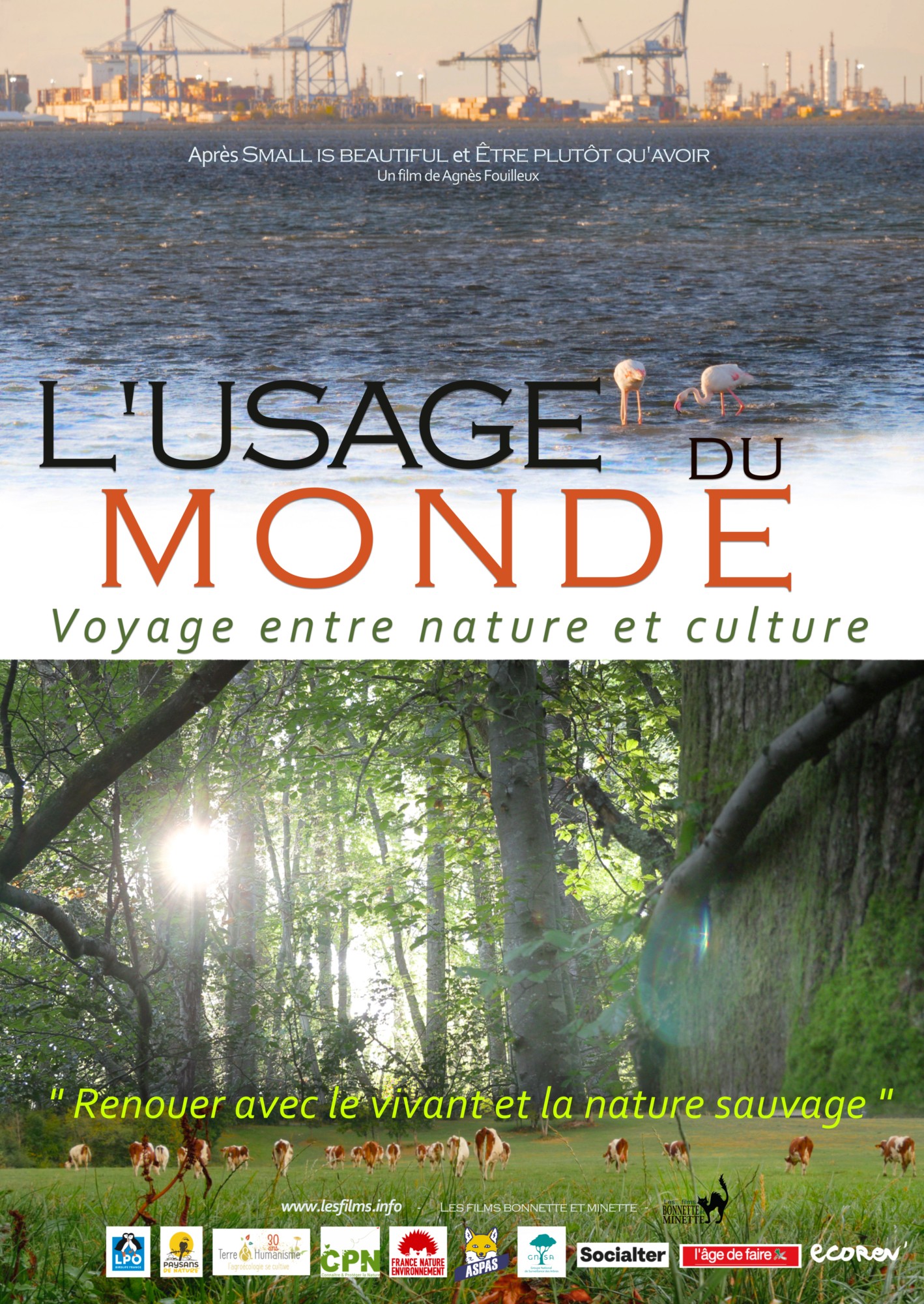 Affiche du film "L'Usage du monde"